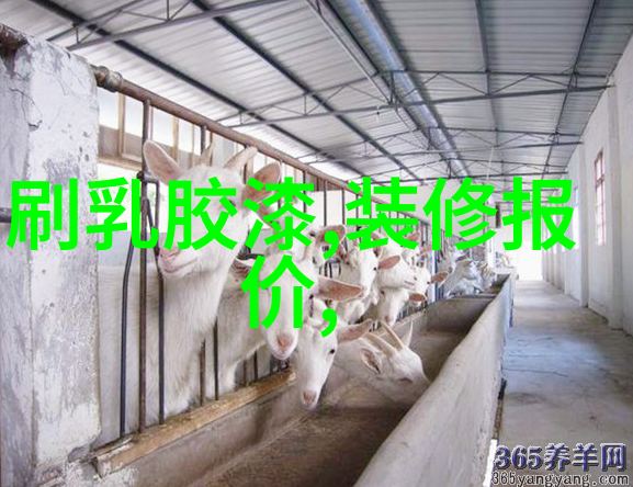 谁知道贝壳粉装修大概多少钱